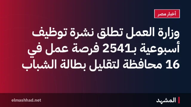 وزارة العمل تطلق نشرة توظيف أسبوعية بـ2541 فرصة عمل في 16 محافظة لتقليل بطالة الشباب