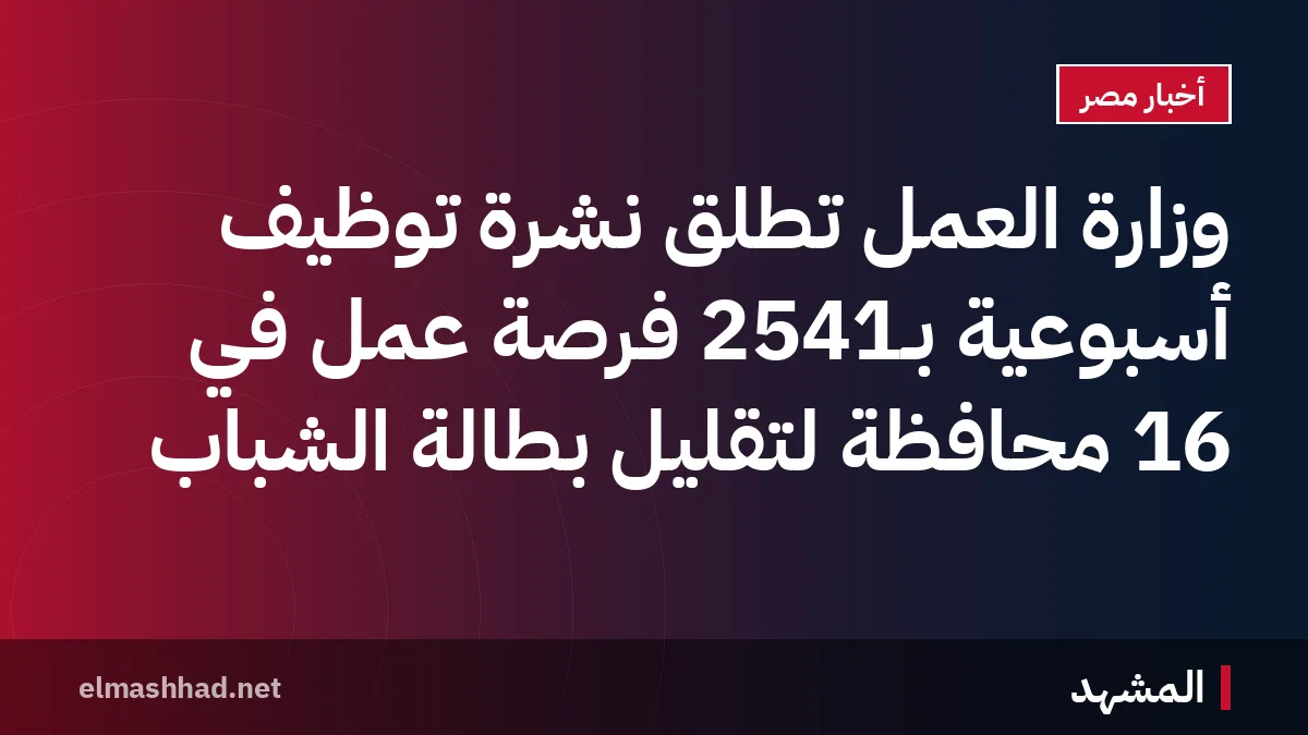 وزارة العمل تطلق نشرة توظيف أسبوعية بـ2541 فرصة عمل في 16 محافظة لتقليل بطالة الشباب