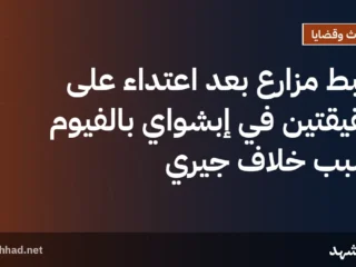 ضبط مزارع بعد اعتداء على شقيقتين في إبشواي بالفيوم بسبب خلاف جيري