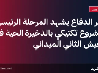 وزير الدفاع يشهد المرحلة الرئيسية لمشروع تكتيكي بالذخيرة الحية في الجيش الثاني الميداني