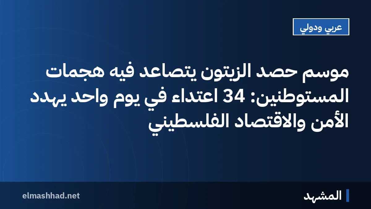 موسم حصد الزيتون يتصاعد فيه هجمات المستوطنين: 34 اعتداءً في يوم واحد يهدد الأمن والاقتصاد الفلسطيني