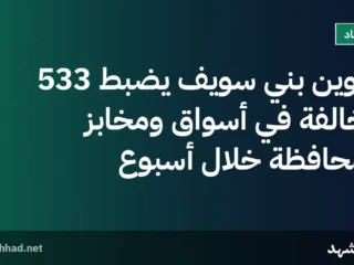 تموين بني سويف يضبط 533 مخالفة في أسواق ومخابز المحافظة خلال أسبوع