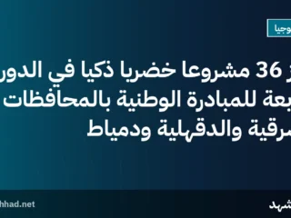 فوز 36 مشروعًا خضريًا ذكيًا في الدورة الرابعة للمبادرة الوطنية بالمحافظات الشرقية والدقهلية ودمياط