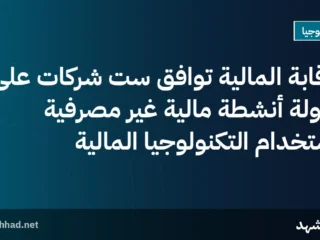 الرقابة المالية توافق ست شركات على مزاولة أنشطة مالية غير مصرفية باستخدام التكنولوجيا المالية