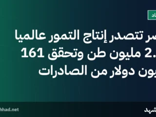 مصر تتصدر إنتاج التمور عالميًا بـ2.2 مليون طن وتحقق 161 مليون دولار من الصادرات