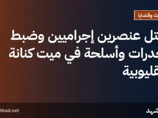 مقتل عنصرين إجراميين وضبط مخدرات وأسلحة في ميت كنانة بالقليوبية
