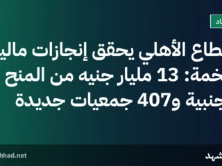 القطاع الأهلي يحقق إنجازات مالية ضخمة: 13 مليار جنيه من المنح الأجنبية و407 جمعيات جديدة