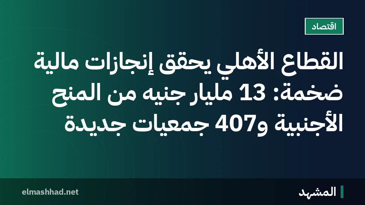 القطاع الأهلي يحقق إنجازات مالية ضخمة: 13 مليار جنيه من المنح الأجنبية و407 جمعيات جديدة