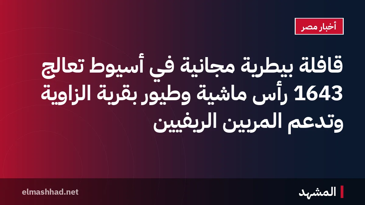 قافلة بيطرية مجانية في أسيوط تعالج 1643 رأس ماشية وطيور بقرية الزاوية وتدعم المربين الريفيين