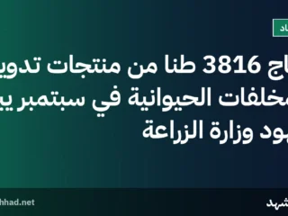 إنتاج 3816 طنًا من منتجات تدوير المخلفات الحيوانية في سبتمبر يبرز جهود وزارة الزراعة