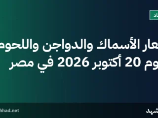 أسعار الأسماك والدواجن واللحوم اليوم 20 أكتوبر 2026 في مصر