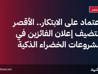 الاعتماد على الابتكار.. الأقصر تستضيف إعلان الفائزين في المشروعات الخضراء الذكية