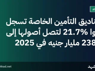 صناديق التأمين الخاصة تسجل نمواً 21.7% لتصل أصولها إلى 238.2 مليار جنيه في 2025