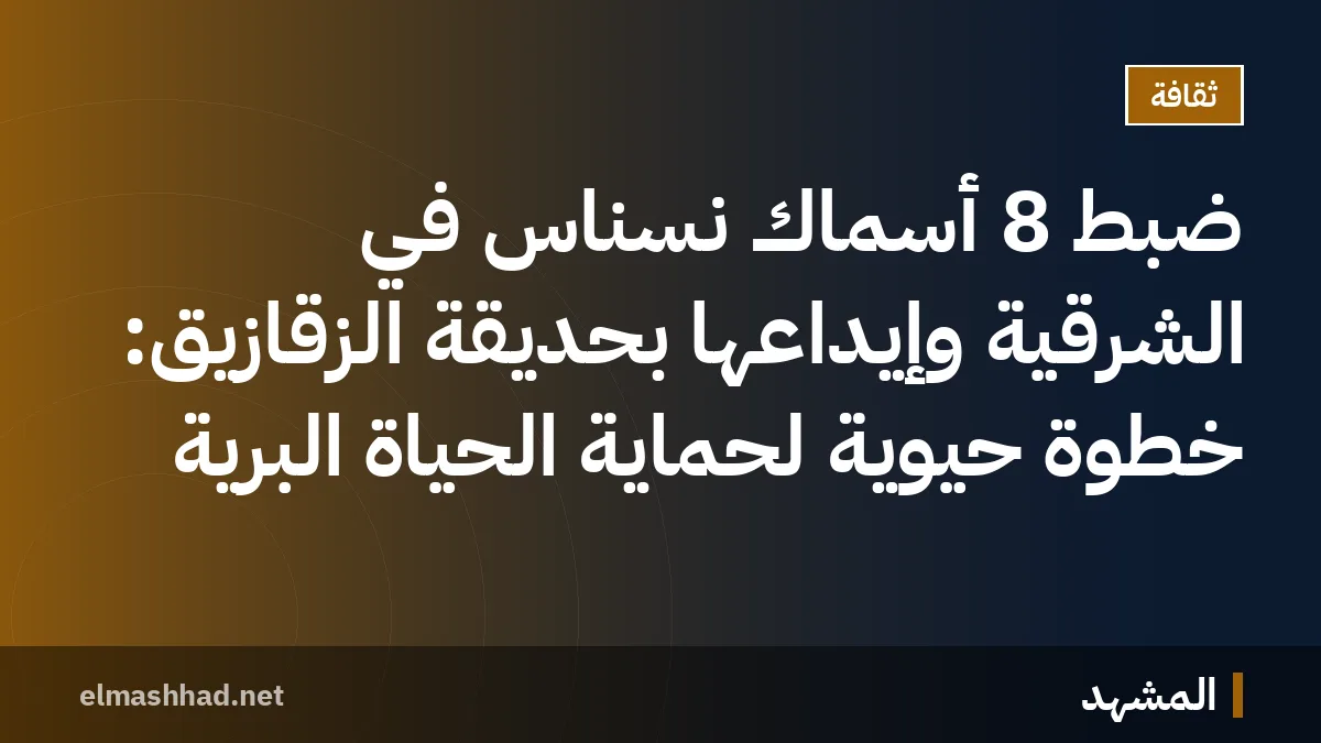 ضبط 8 أسماك نسناس في الشرقية وإيداعها بحديقة الزقازيق: خطوة حيوية لحماية الحياة البرية