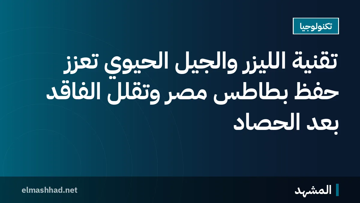 تقنية الليزر والجيل الحيوي تعزز حفظ بطاطس مصر وتقلل الفاقد بعد الحصاد