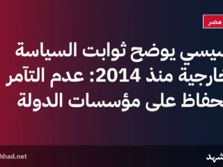 السيسي يوضح ثوابت السياسة الخارجية منذ 2014: عدم التآمر والحفاظ على مؤسسات الدولة