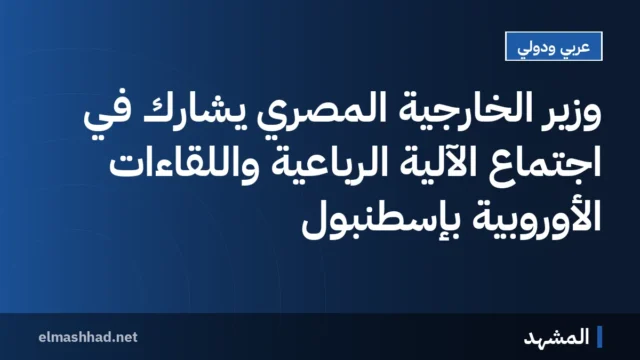 وزير الخارجية المصري يشارك في اجتماع الآلية الرباعية واللقاءات الأوروبية بإسطنبول