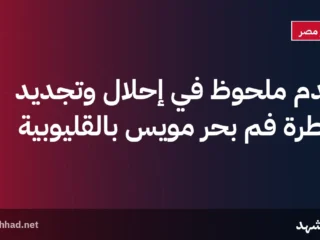 تقدم ملحوظ في إحلال وتجديد قنطرة فم بحر مويس بالقليوبية