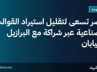 مصر تسعى لتقليل استيراد القوالب الصناعية عبر شراكة مع البرازيل واليابان