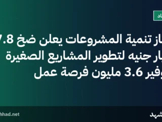جهاز تنمية المشروعات يعلن ضخ 67.8 مليار جنيه لتطوير المشاريع الصغيرة وتوفير 3.6 مليون فرصة عمل