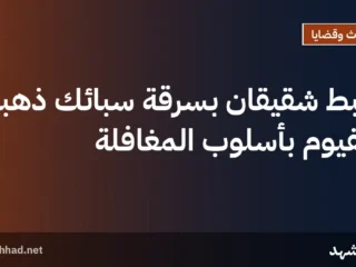 ضبط شقيقان بسرقة سبائك ذهبية بالفيوم بأسلوب المغافلة