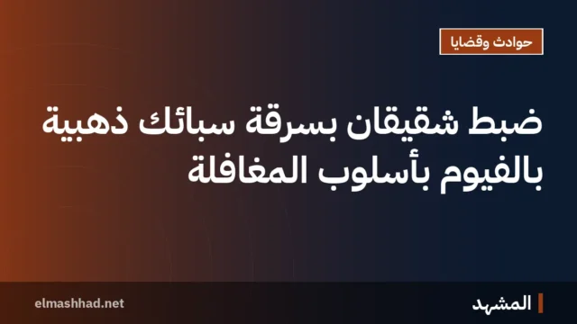 ضبط شقيقان بسرقة سبائك ذهبية بالفيوم بأسلوب المغافلة