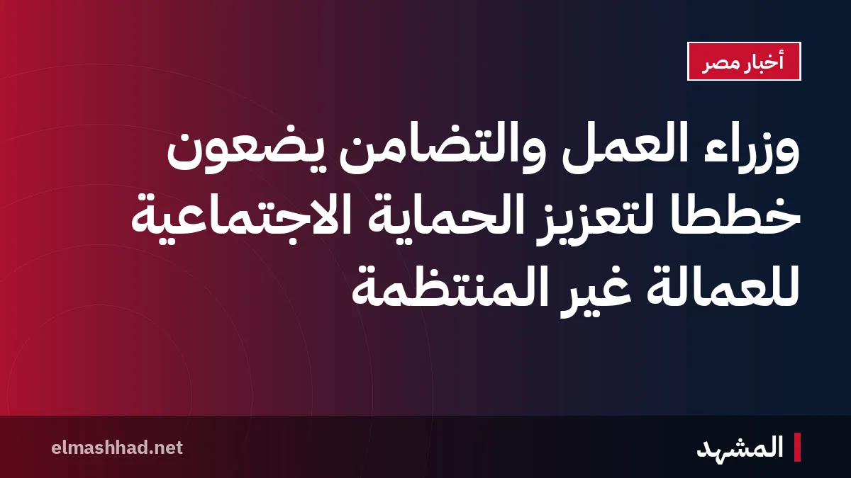 وزراء العمل والتضامن يضعون خططاً لتعزيز الحماية الاجتماعية للعمالة غير المنتظمة