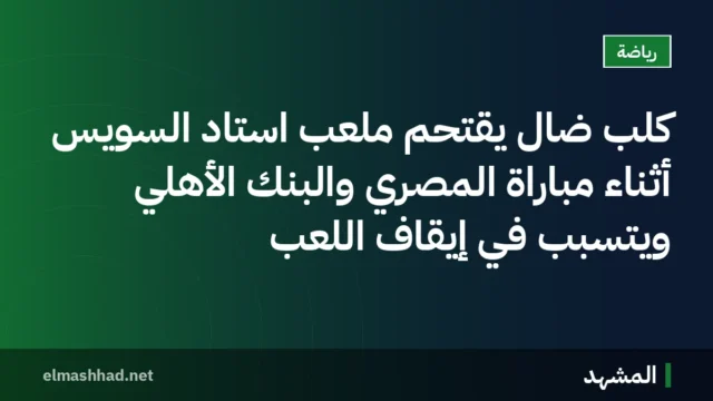 كلب ضال يقتحم ملعب استاد السويس أثناء مباراة المصري والبنك الأهلي ويتسبب في إيقاف اللعب
