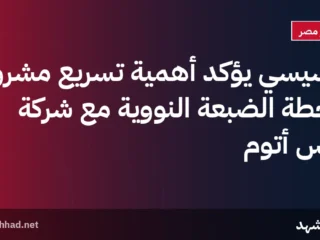 السيسي يؤكد أهمية تسريع مشروع محطة الضبعة النووية مع شركة روس أتوم