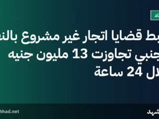ضبط قضايا اتجار غير مشروع بالنقد الأجنبي تجاوزت 13 مليون جنيه خلال 24 ساعة