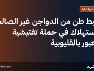ضبط طن من الدواجن غير الصالحة للاستهلاك في حملة تفتيشية بالعبور بالقليوبية