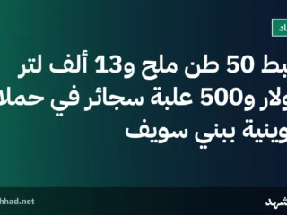 ضبط 50 طن ملح و13 ألف لتر سولار و500 علبة سجائر في حملات تموينية ببني سويف