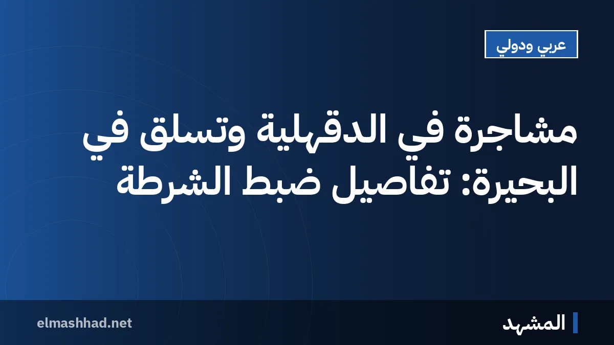 مشاجرة في الدقهلية وتسلّق في البحيرة: تفاصيل ضبط الشرطة