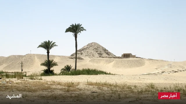 طرق التواصل مع محافظة الجيزة للإبلاغ عن تراكم القمامة وتسهيل الإجراءات