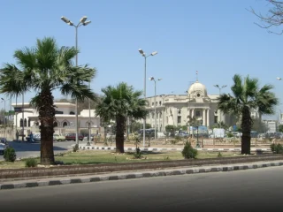 محافظ سوهاج يحيل مسؤولي مدرستين للتحقيق بسبب تقليم أشجار معمرة