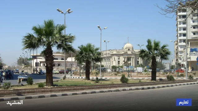 محافظ سوهاج يحيل مسؤولي مدرستين للتحقيق بسبب تقليم أشجار معمرة