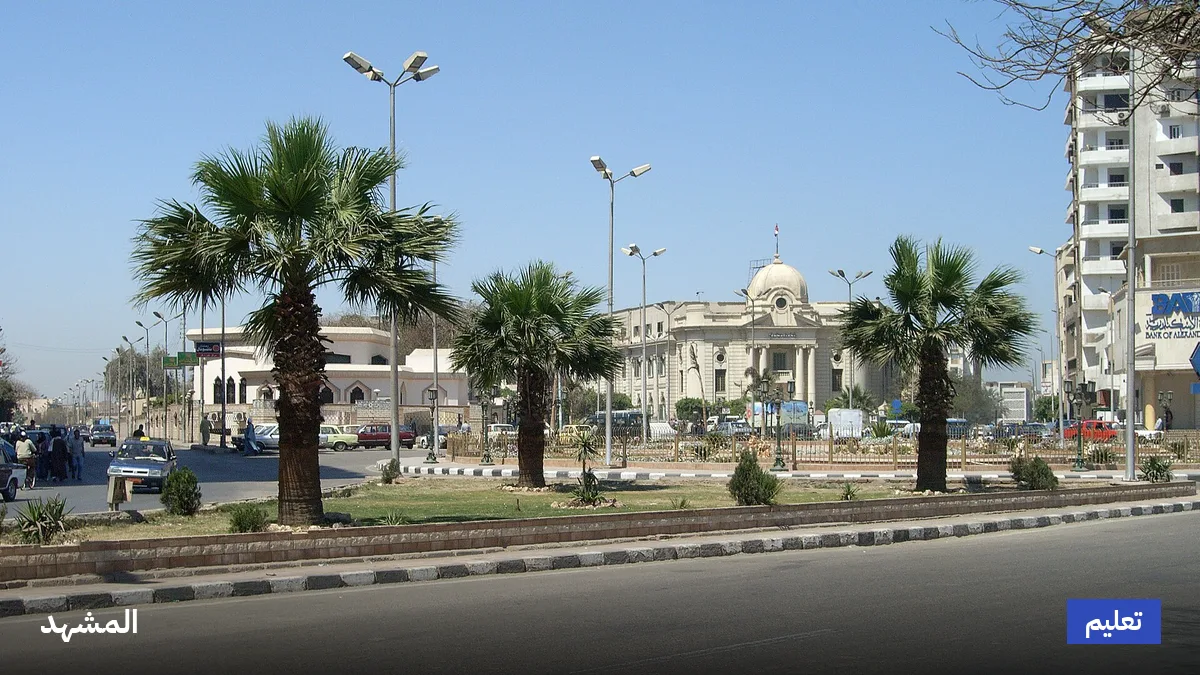 محافظ سوهاج يحيل مسؤولي مدرستين للتحقيق بسبب تقليم أشجار معمرة