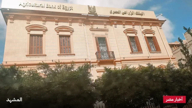 قليوبية تستقبل 1000 كوبون غذائي بقيمة 500 ألف جنيه لتخفيف أعباء الأسر الأولى بالرعاية