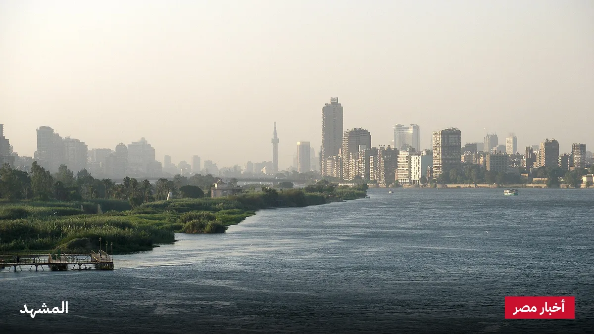 السيسي: أي رهان على التفريط في الأمن المائي المصري خاسر